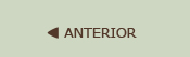 Anterior
